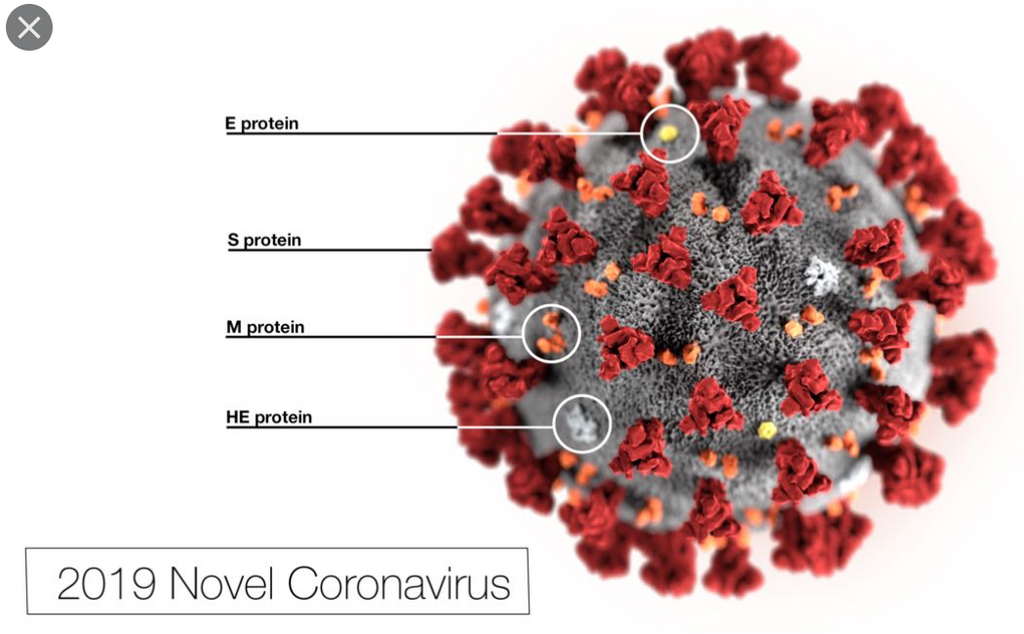 PRUEX OFFICIAL CORONA COVID 19 POSITION
