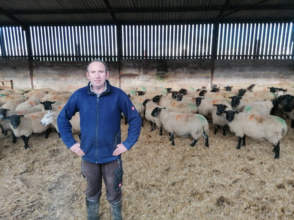 Focusing on the environment, nutrition and stock allows fantastic reductions in antibiotic use.