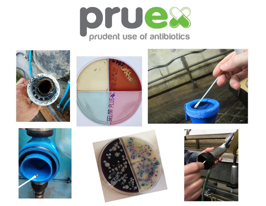 Dairy Cow antibiotic reduction conference a must for the professional dairy farmer.