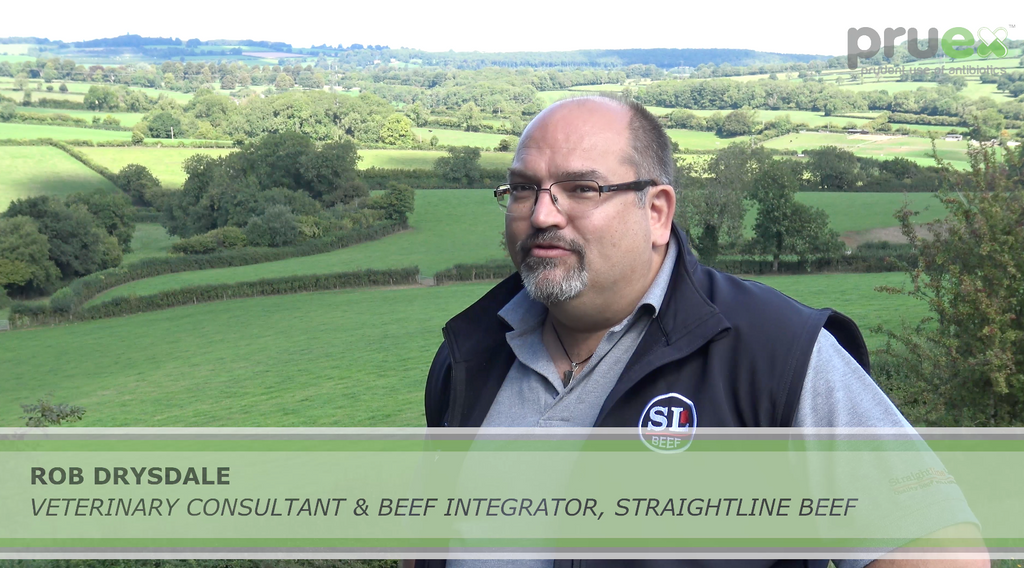 Exceptional efforts in animal welfare help reduce antibiotic use