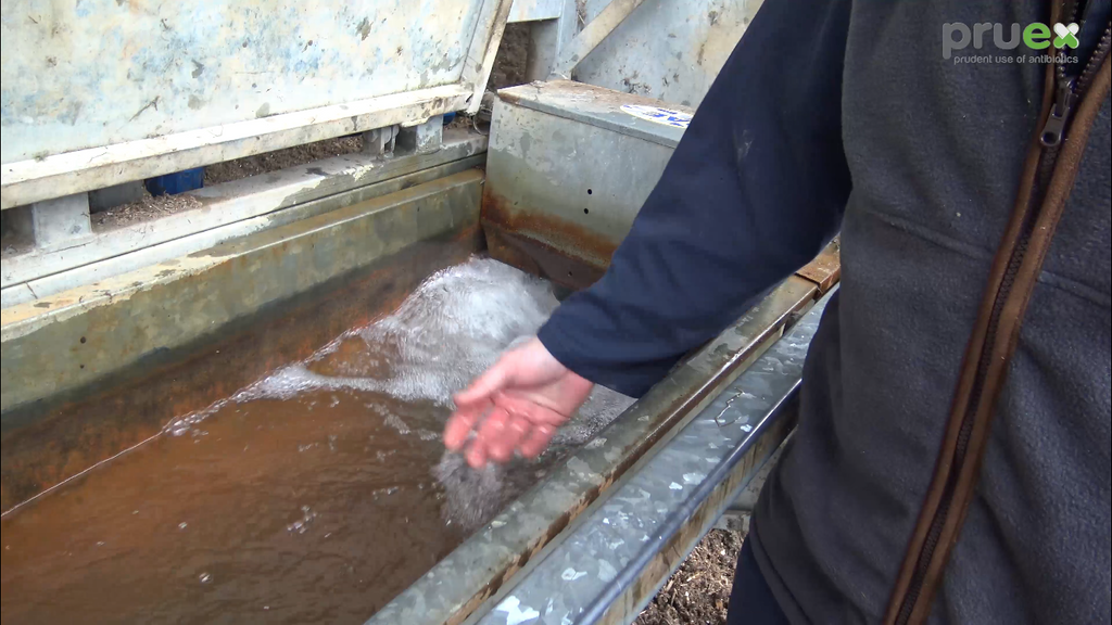 Video showing - Cleaning up the water we give animals to reduce the need for antibiotics