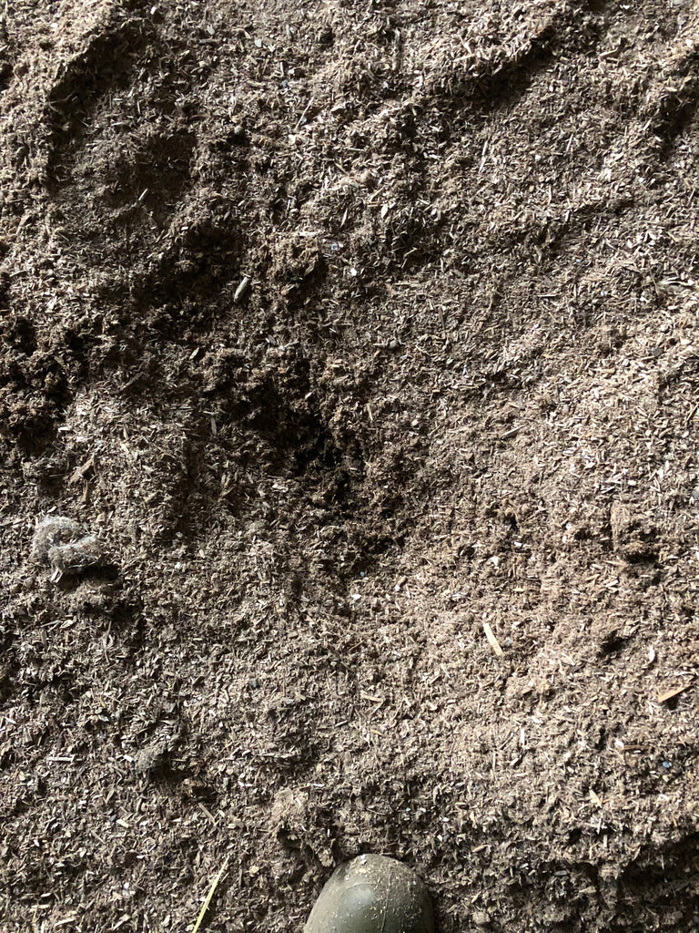 Dry, clean bedding for healthy environments