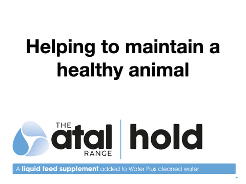 1.1 Pruex Atal Hold Week 5 to 8