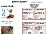 1.1 Pruex Atal Flush Weel 9 to 12