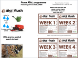 1.1 Pruex Atal Flush Weel 5 to 8