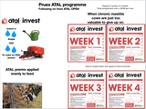 1.1 Pruex Atal Invest Week 5 to 8