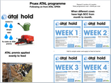 1.1 Pruex Atal Hold Week 1 to 4