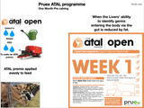 1.1 Pruex Atal Open