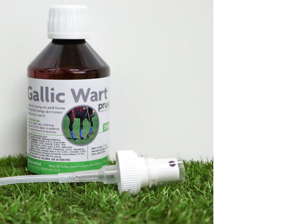 Gallic WART