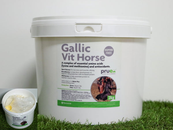 Gallic VIT HORSE - MUSCLE RALLYING