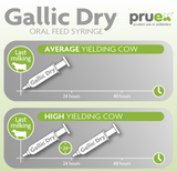 1.0  Drying Off - Gallic Dry ORAL Syringe 100ml - Box of 20