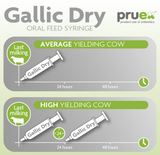 1.0  Drying Off - Gallic Dry ORAL Syringe 100ml - 5 pack