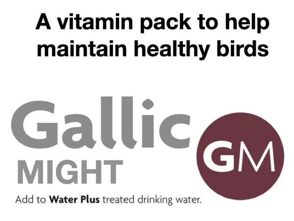 Gallic Might 10 Litre