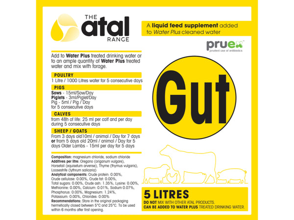 atal Gut - 5 Litre