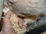 Wood Wool - Agro Clean 12kg bales